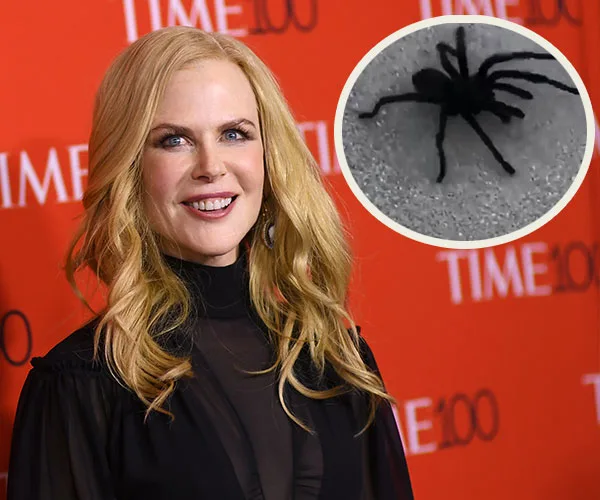 Blonde woman in black at TIME 100 event, inset shows close-up of a black spider.