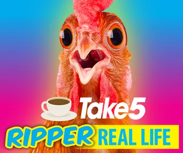 Colorful image of a surprised chicken with wide eyes, marked "Take 5" and "Ripper Real Life," on a vibrant background.