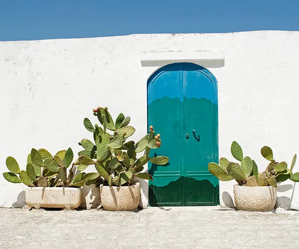 White wall with a blue-green arched door, framed by potted cacti under a clear blue sky.