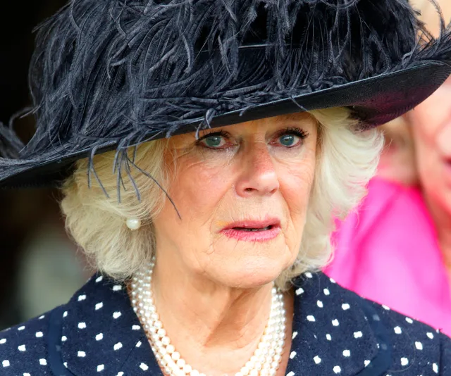 Camilla duchess of cornwall