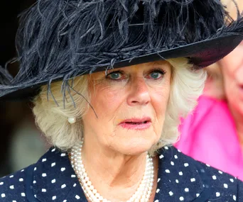 Camilla duchess of cornwall