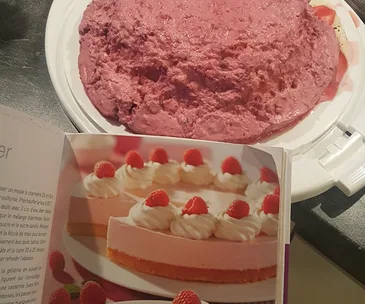 "Homemade pink dessert fail on plate compared to perfect raspberry cake in cookbook."