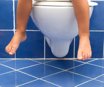 toilet training seats