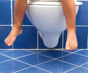 toilet training seats