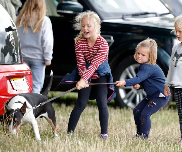 Savannah Phillips, Mia Tindall and Isla Phillips struggle to control their grandmother's (Princess Anne, Princess Royal) bull terrier dog