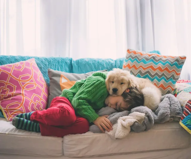 Child snuggling with a puppy on a colorful couch, surrounded by vibrant pillows.