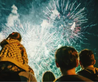 A family watches colorful fireworks lighting up the night sky.