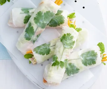 Rice paper rolls with cilantro and vegetables served on a white plate.