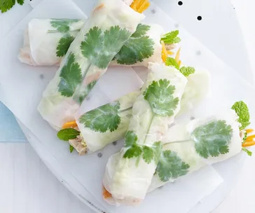 Rice paper rolls with cilantro and vegetables served on a white plate.