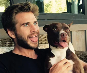 Man and brown dog sitting on a couch with tongues out, looking playful.