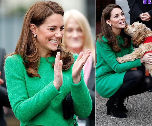 A woman in a green dress clapping, then kneeling to pet a brown dog with a red harness.