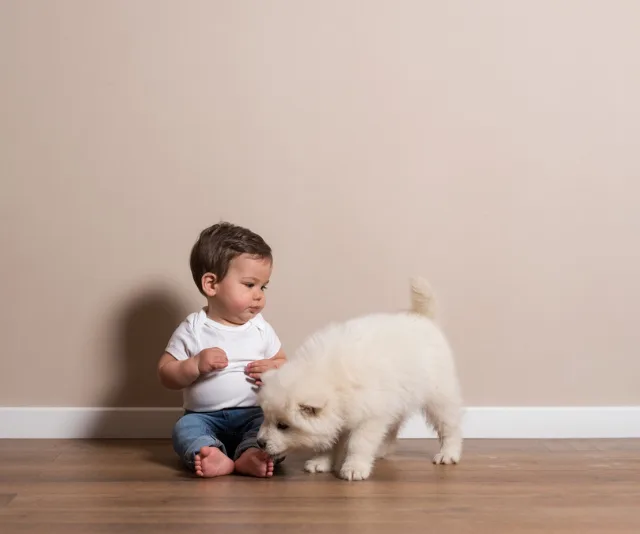 A baby sitting on the floor, wearing a white shirt, watches a fluffy white puppy sniffing near them.