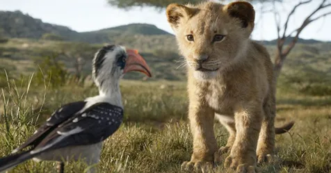 Young lion Simba sits playfully with Zazu, a red-billed hornbill, on the savanna in "The Lion King".