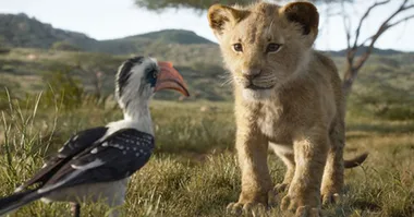 Young lion Simba sits playfully with Zazu, a red-billed hornbill, on the savanna in "The Lion King".