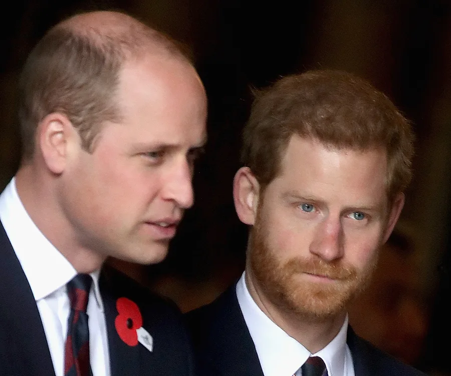 Two men in suits wearing poppy pins at a public event.