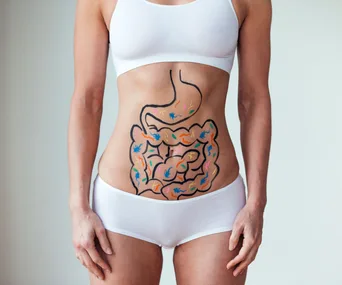 Person in underwear with a digestive system illustration drawn on their abdomen.