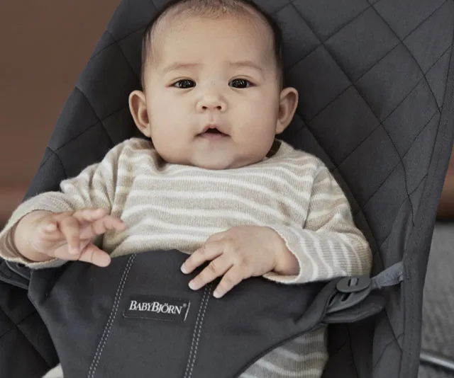 Graco Duet Connect Swing & Bouncer
