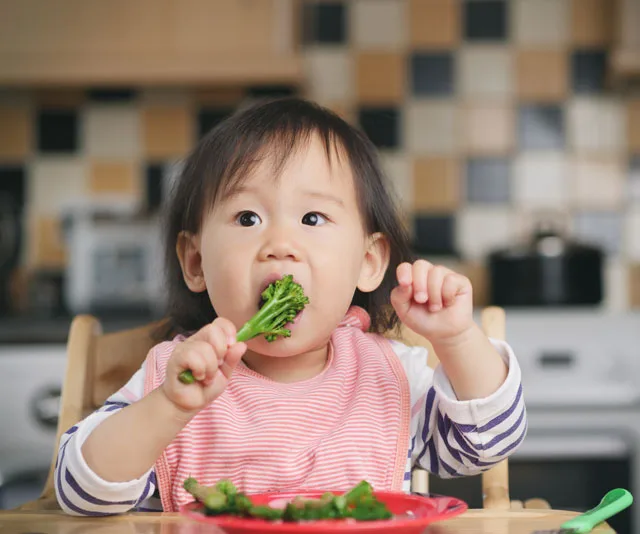 Toddler seated, wearing a bib, happily eating broccoli in a kitchen setting.