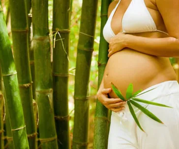 Pregnant woman in white attire holding belly, standing among bamboo stalks.