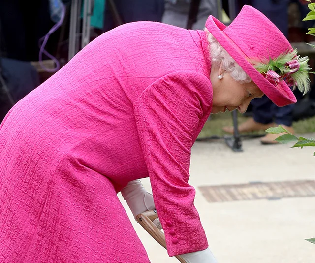 A woman in a bright pink outfit and hat planting a tree in a garden setting.