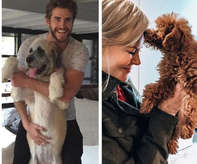 "Two people enjoying moments with their dogs; one holding a big dog, the other nuzzling a small fluffy pup."