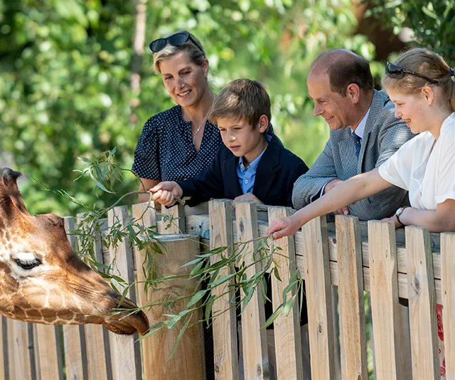 A family feeds a giraffe through a wooden fence at the zoo, surrounded by green foliage.