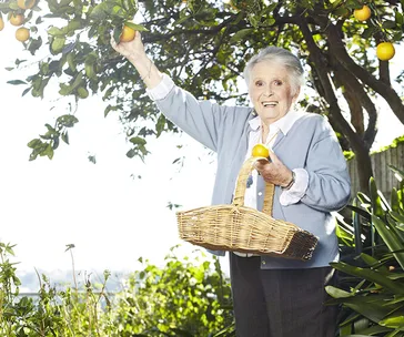 The fool-proof Margaret Fulton recipe that every Australian needs to know