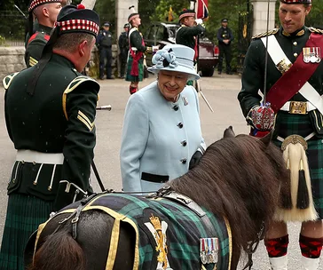 Queen Elizabeth II in blue coat and hat, smiles at a pony in a tartan cloth, flanked by uniformed soldiers at Balmoral.