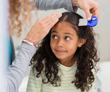 Child with curly hair being checked for head lice using a fine-toothed comb by an adult.