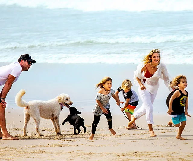 A family with two dogs enjoys a sunny day on the beach, running and playing by the sea.