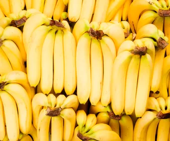 Bunches of ripe yellow bananas displayed closely together.