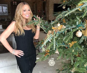When is the best time to put up the Christmas tree?