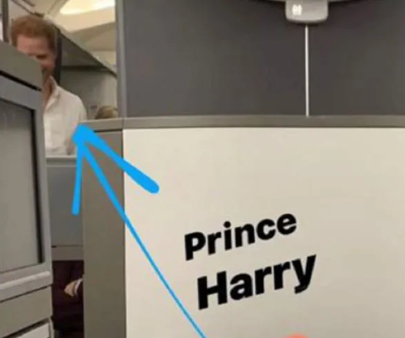 Prince Harry spotted on a flight, partially visible behind a partition with text and arrow pointing at him.