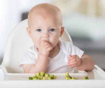 Baby sitting in a high chair, eating diced avocado with hand, exploring baby-led weaning.