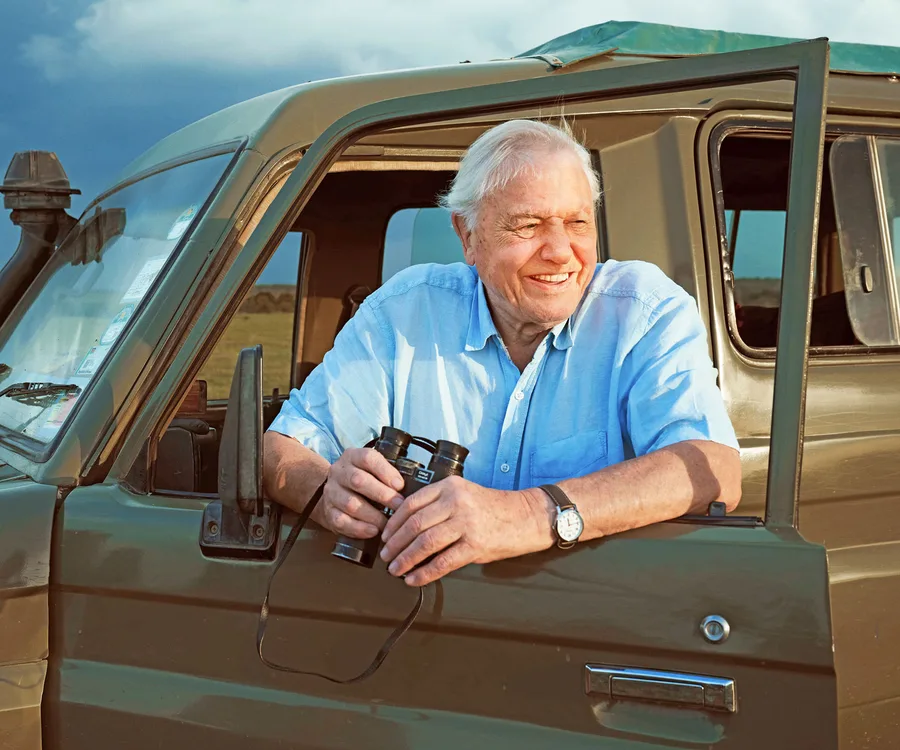 Man in blue shirt, holding binoculars, leaning on a green vehicle's open window, smiling outdoors.