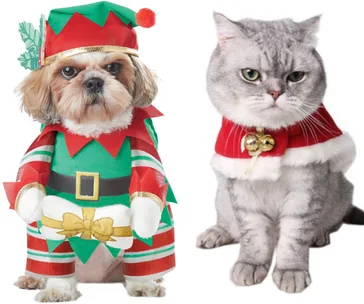 Dog in elf costume and cat in Santa outfit posing for Christmas.