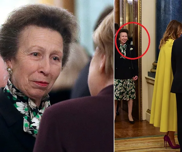 Princess Anne speaking to people at an event, wearing a floral dress, with a circled moment at a formal gathering.