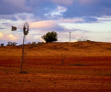 Australian drought landscape with windmill, dry field, and sparse trees under a cloudy sky.