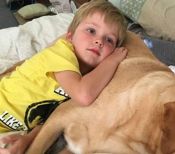 A young boy in a yellow shirt lies on a bed, hugging a golden Labrador retriever closely.