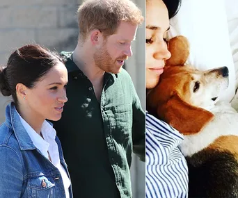 Meghan Markle and Prince Harry walking; Meghan lying with a beagle, smiling softly.