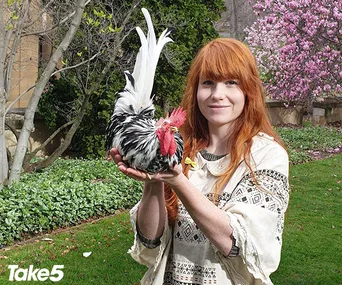 A person with red hair holds a rooster in a garden with blooming trees.