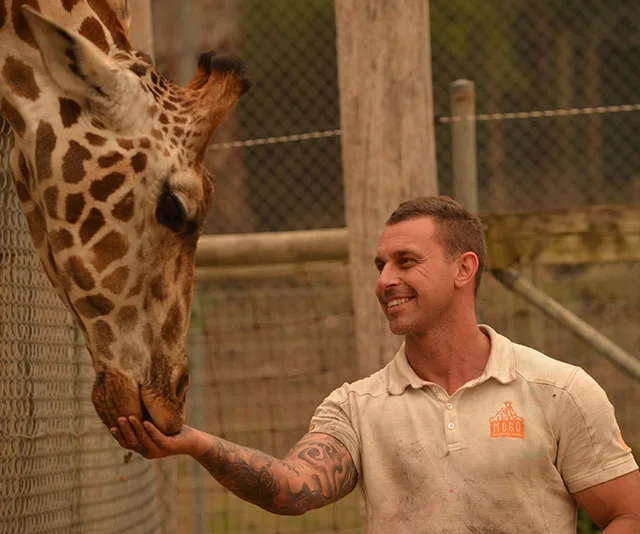 A man feeds a giraffe with a smile, standing in a zoo environment with fences in the background.