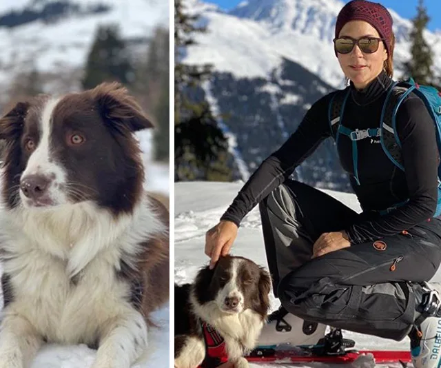 Woman in winter gear with a brown and white dog on snowy mountains.