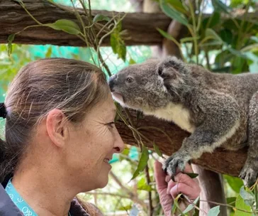 A woman smiles at a koala sitting on a tree branch in a lush, green setting.