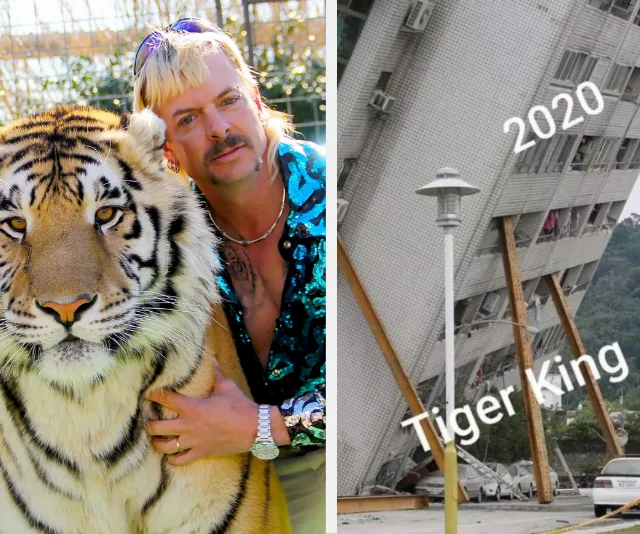 "Man with tiger on left; leaning building labeled '2020 Tiger King' on right, humorously depicting chaos."