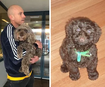 A man holds a curly-haired dog on the left; a fluffy brown puppy sits on wooden floor on the right.