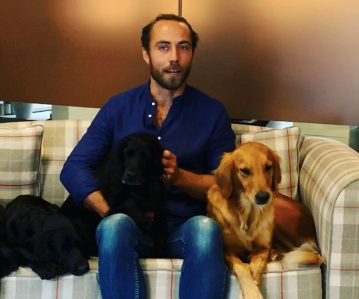 Man sitting on a sofa with three dogs, wearing a blue shirt and jeans, in a cozy indoor setting.