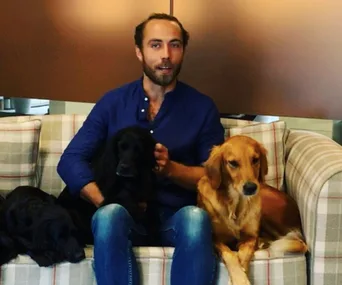 Man sitting on a sofa with three dogs, wearing a blue shirt and jeans, in a cozy indoor setting.