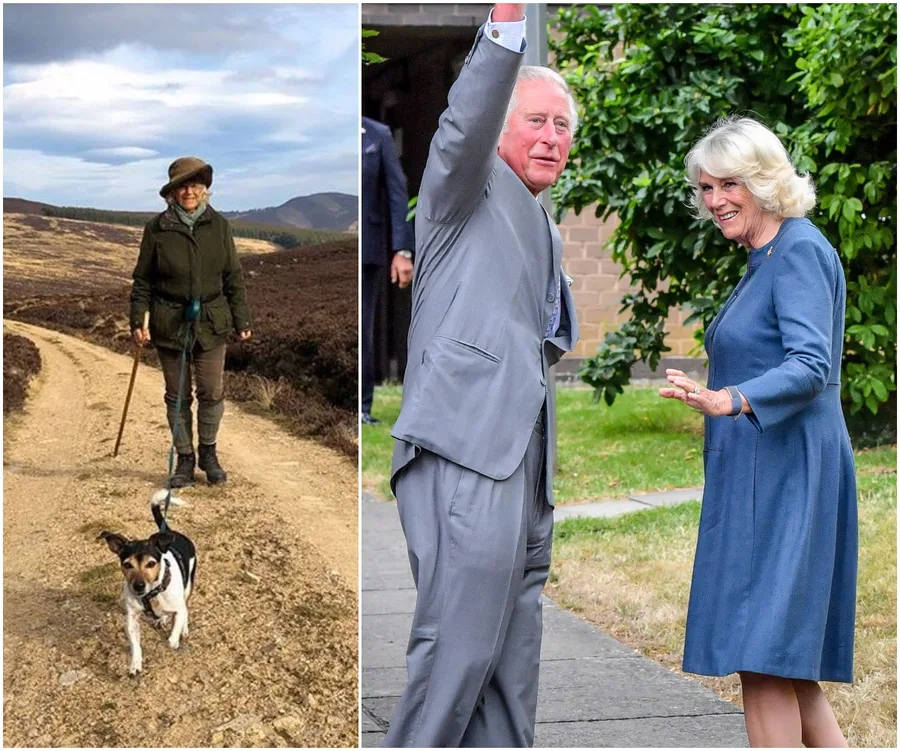 Elderly woman with a dog on a dirt path; couple in formal attire outdoors, man waving, woman smiling.