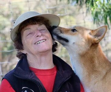 A smiling woman wearing a hat is affectionately nuzzled by a dingo in an outdoor setting.